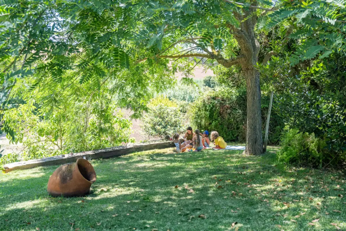 Фруктовый сад на территории retreat-центра